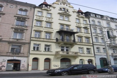Rent of luxurious unfurnished apartment 4+kk, Praha 2, Na Moráni st.