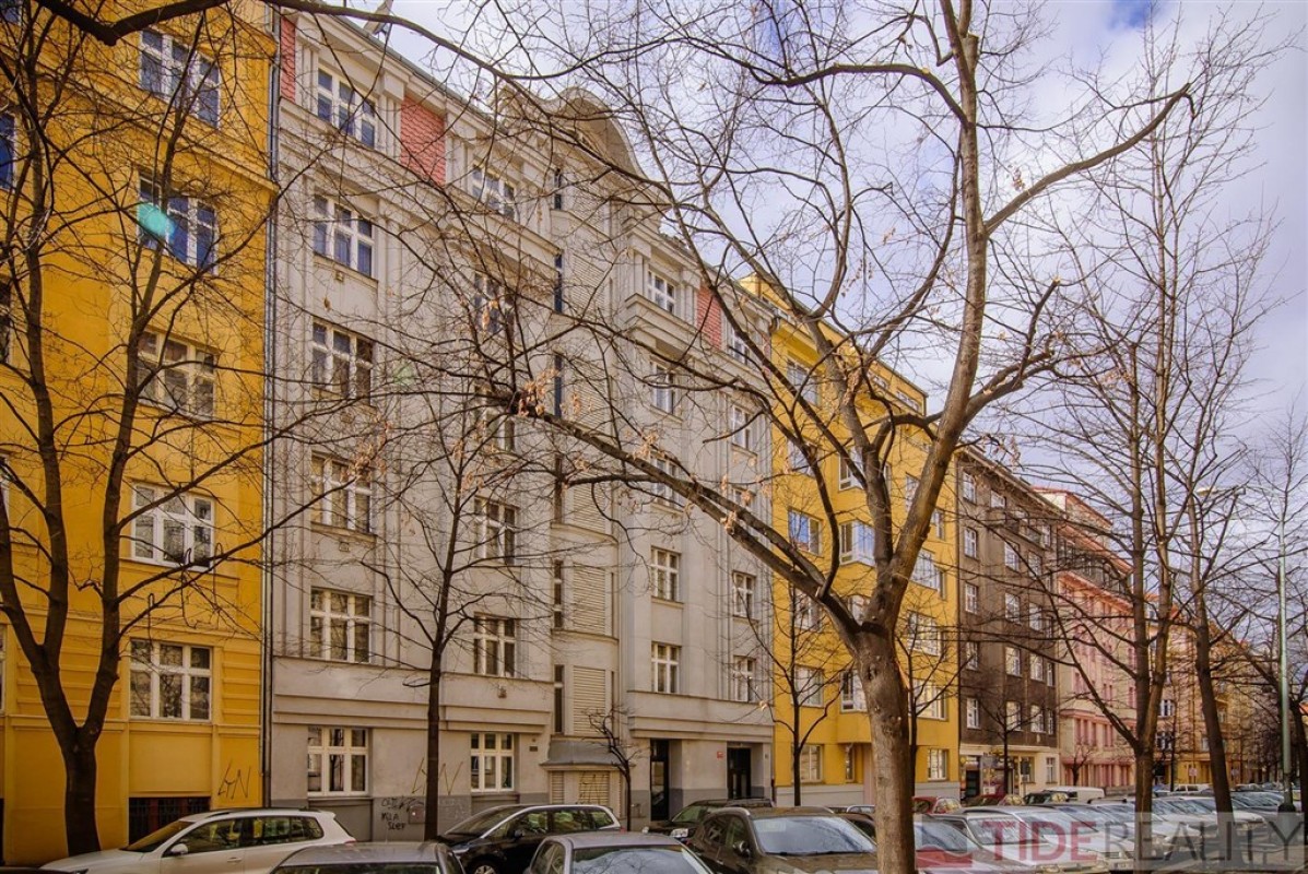 Pronájem půdního bytu s velkou terasou, Kolínská, Vinohrady, Praha 3